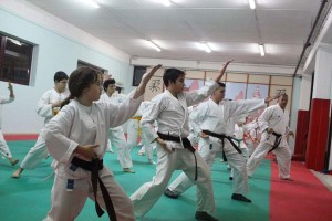 Karate (134)