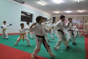 Karate (135)