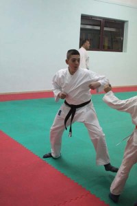 Karate (67)