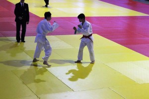 Finale Campionato Italiano Judo Es - Zuddas Daniele (3)