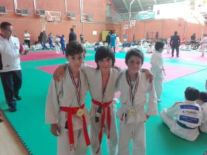 2017_04_09-palaveliero-judo-2