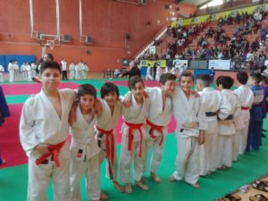 2017_04_09-palaveliero-judo-3